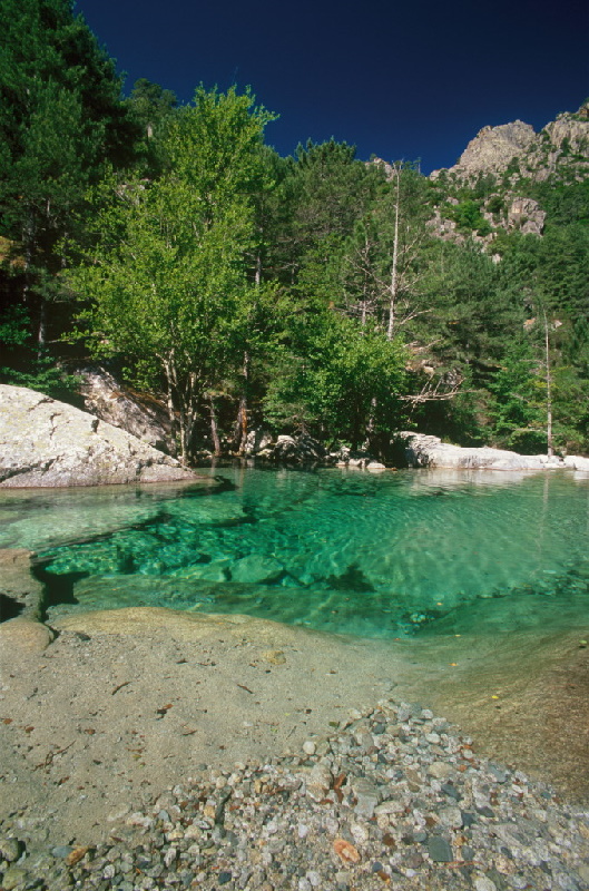 Schluchten im Departement Haute Corse (2B): Gorges de la Restonica.